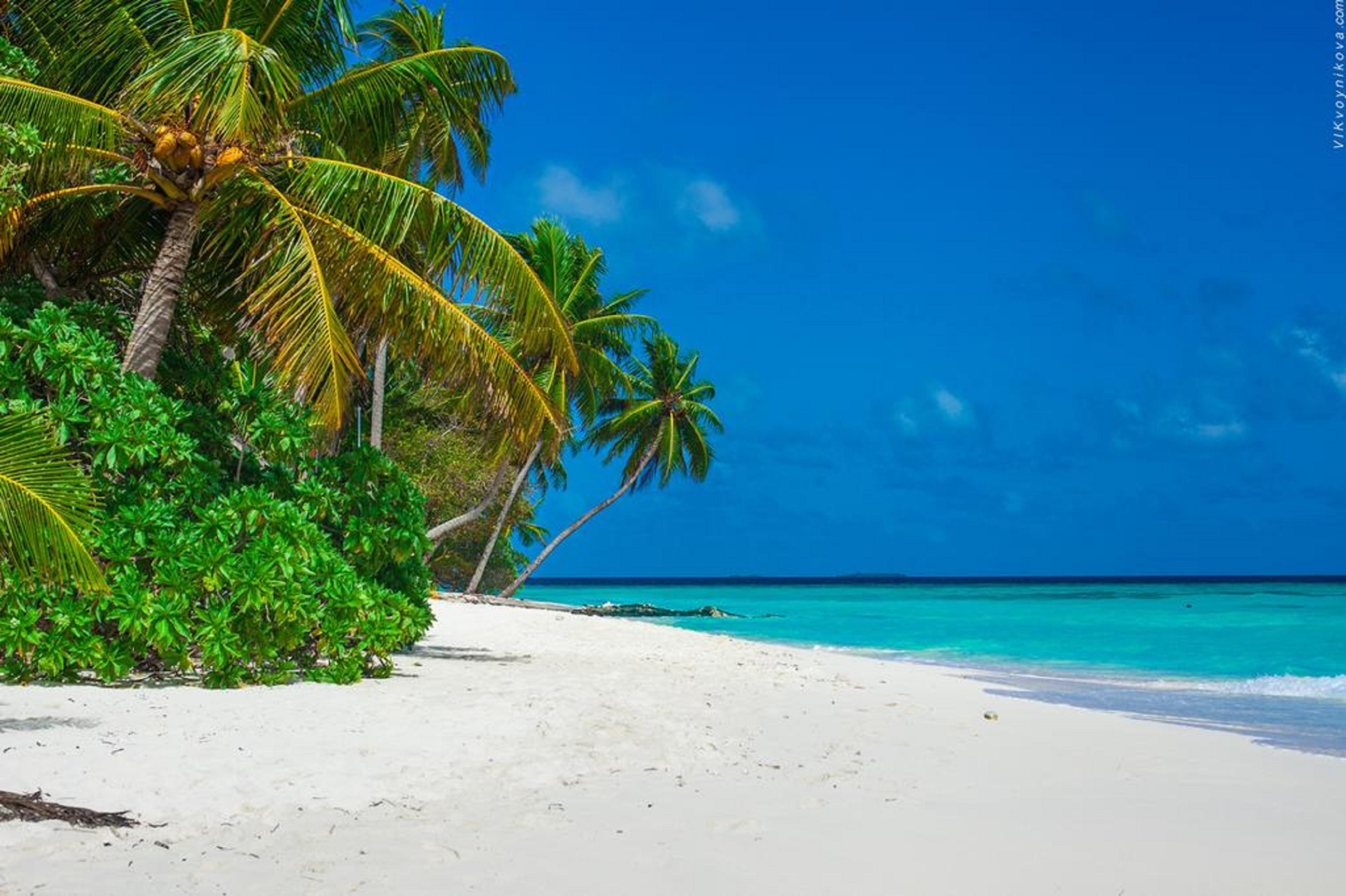 Stingray Beach Inn Maafushi Luaran gambar