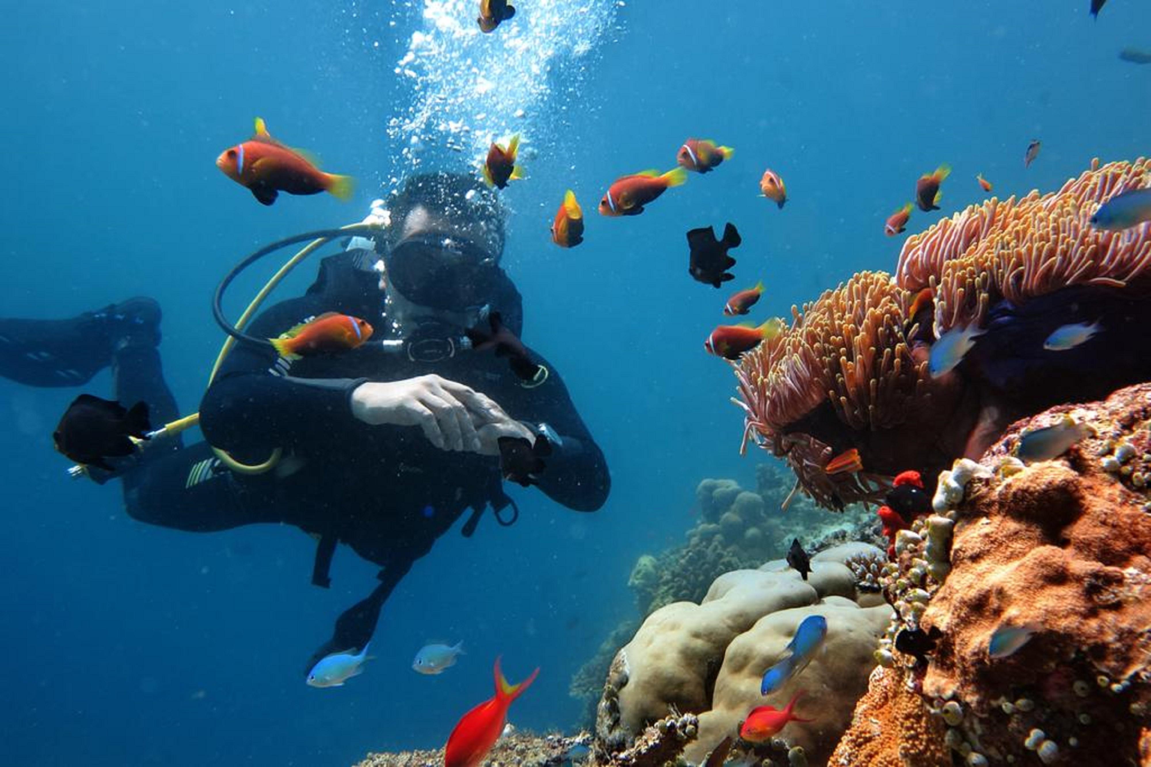 Stingray Beach Inn Maafushi Luaran gambar